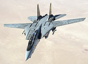 Maquetas Hechas - Grumman F-14 Tomcat Vista frontal-lateral