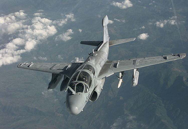 Maquetas hechas - EA-6B Prowler Vista frontal-superior